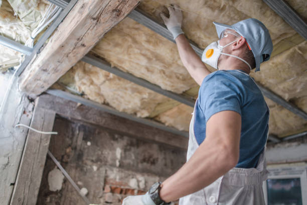 Professional Insulation Contractor in Canastota, NY